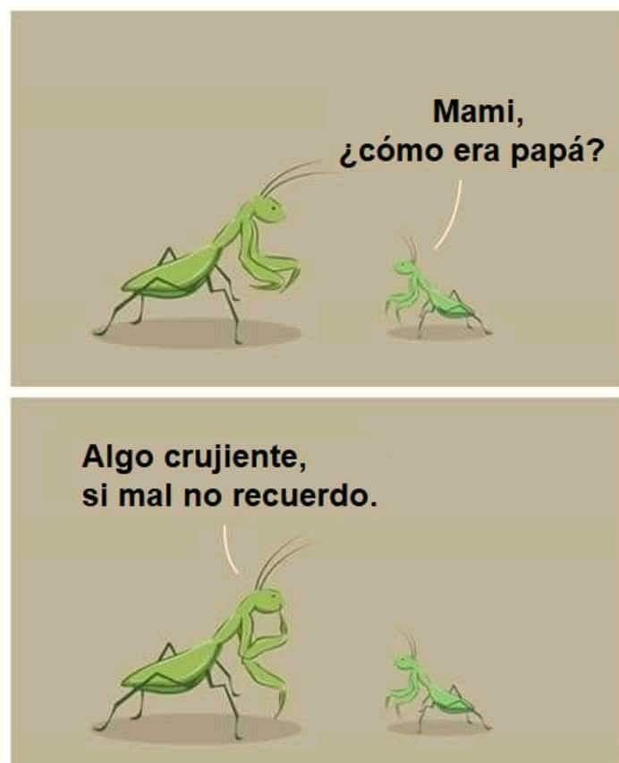 Rincón Curioso tweet media
