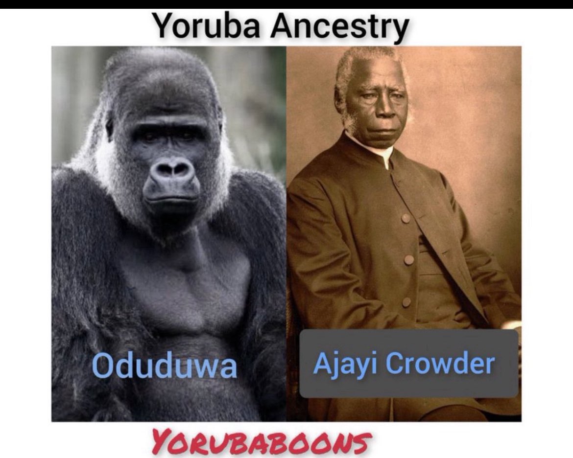 ebuka tweet media