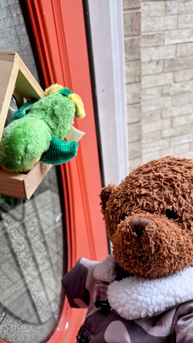 BearyGoodBlog's tweet image. Reunion with an old friend! #stuffies #bears #teddybears #plushies

lifeisbearygood.com/2026/05/04/bir…