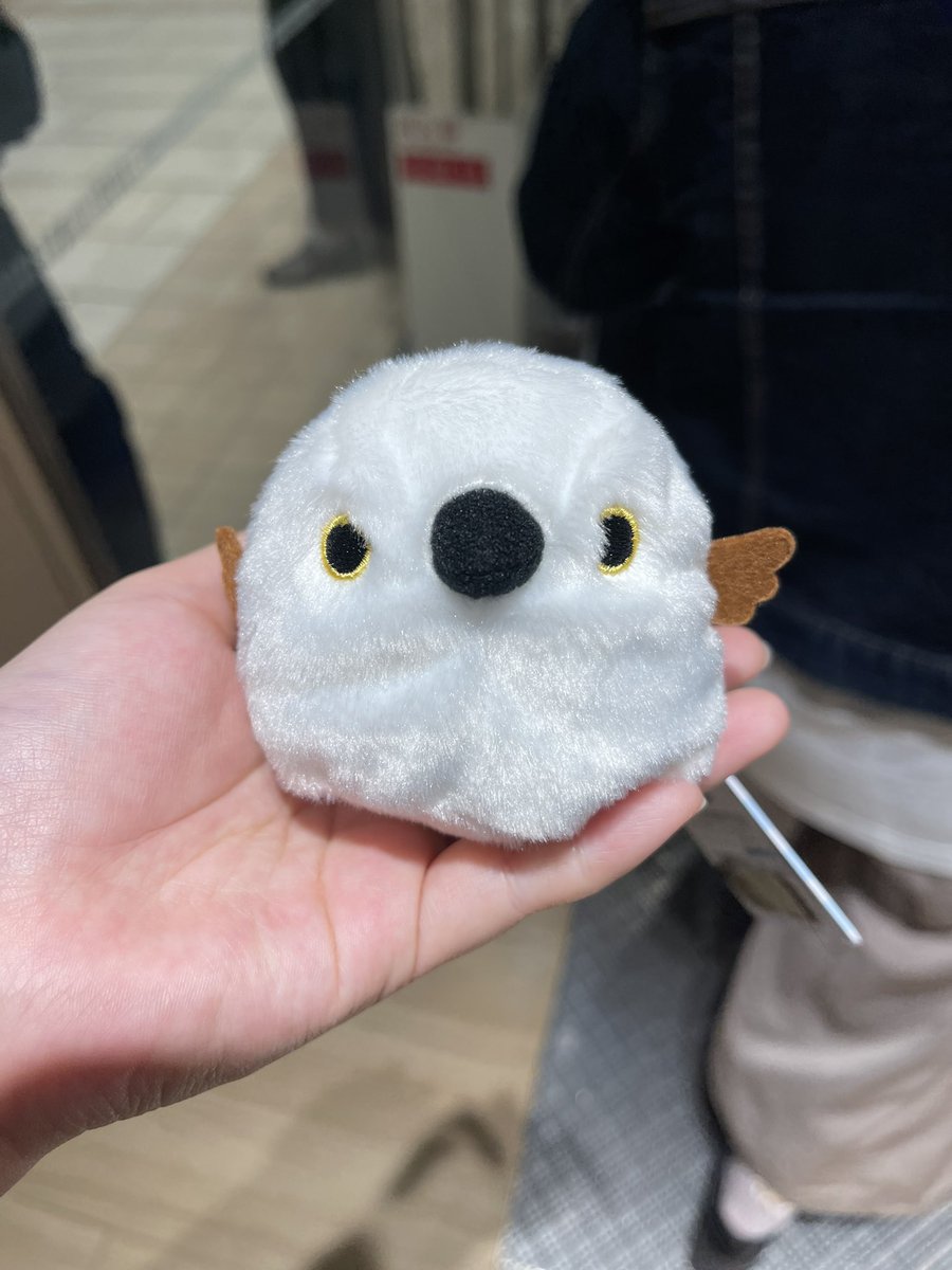 eriyan_0302's tweet photo. うっう……見つからなかったので新しいの買いました……
前世の記憶を引き継いだシマエナガもどきver.2です…… https://t.co/DGoifobwYR