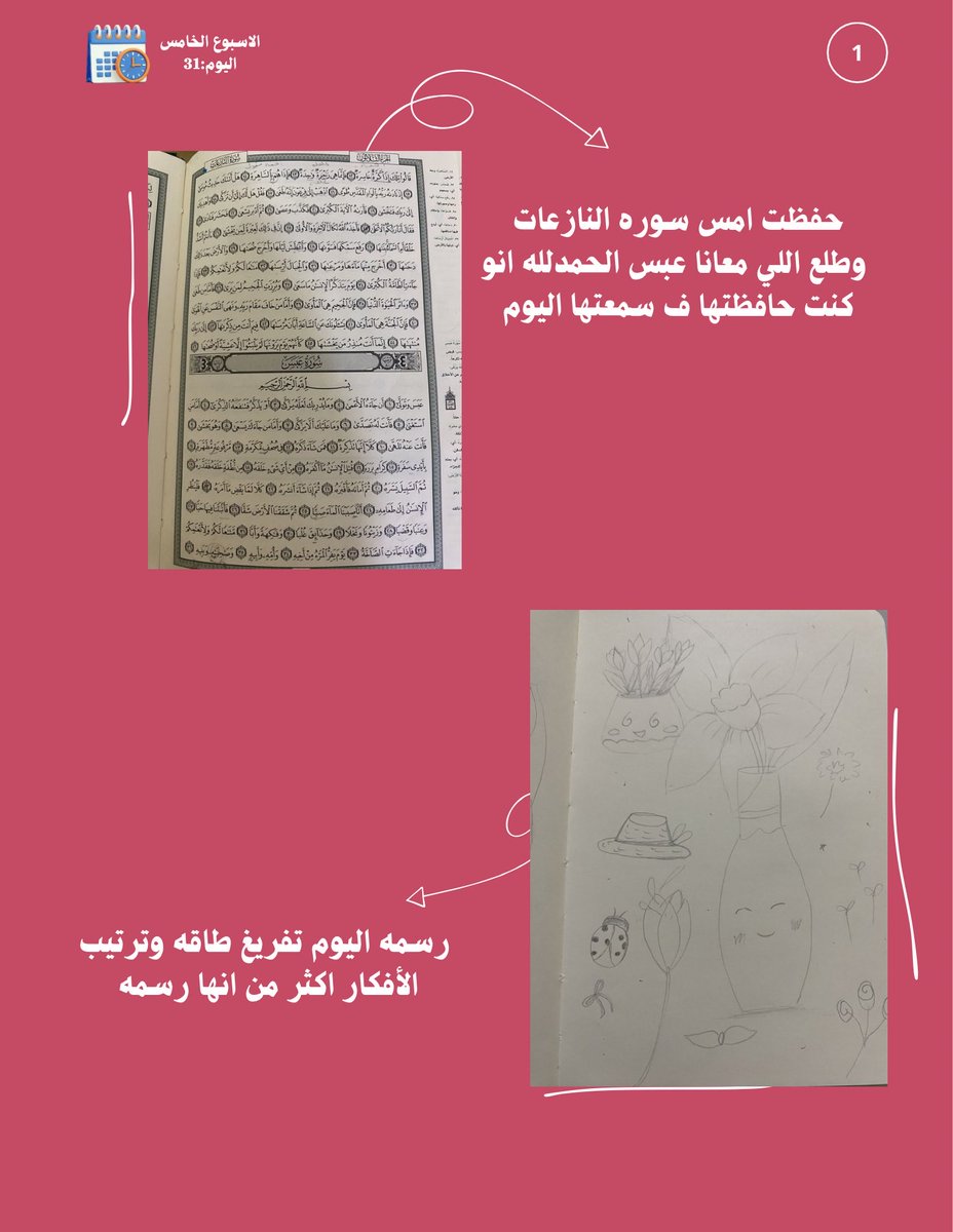 Roaa.zone tweet media