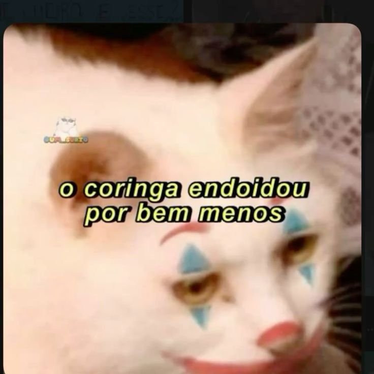 thinni tweet media