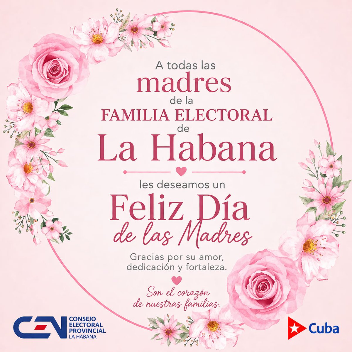 Consejo Electoral Provincial La Habana tweet media