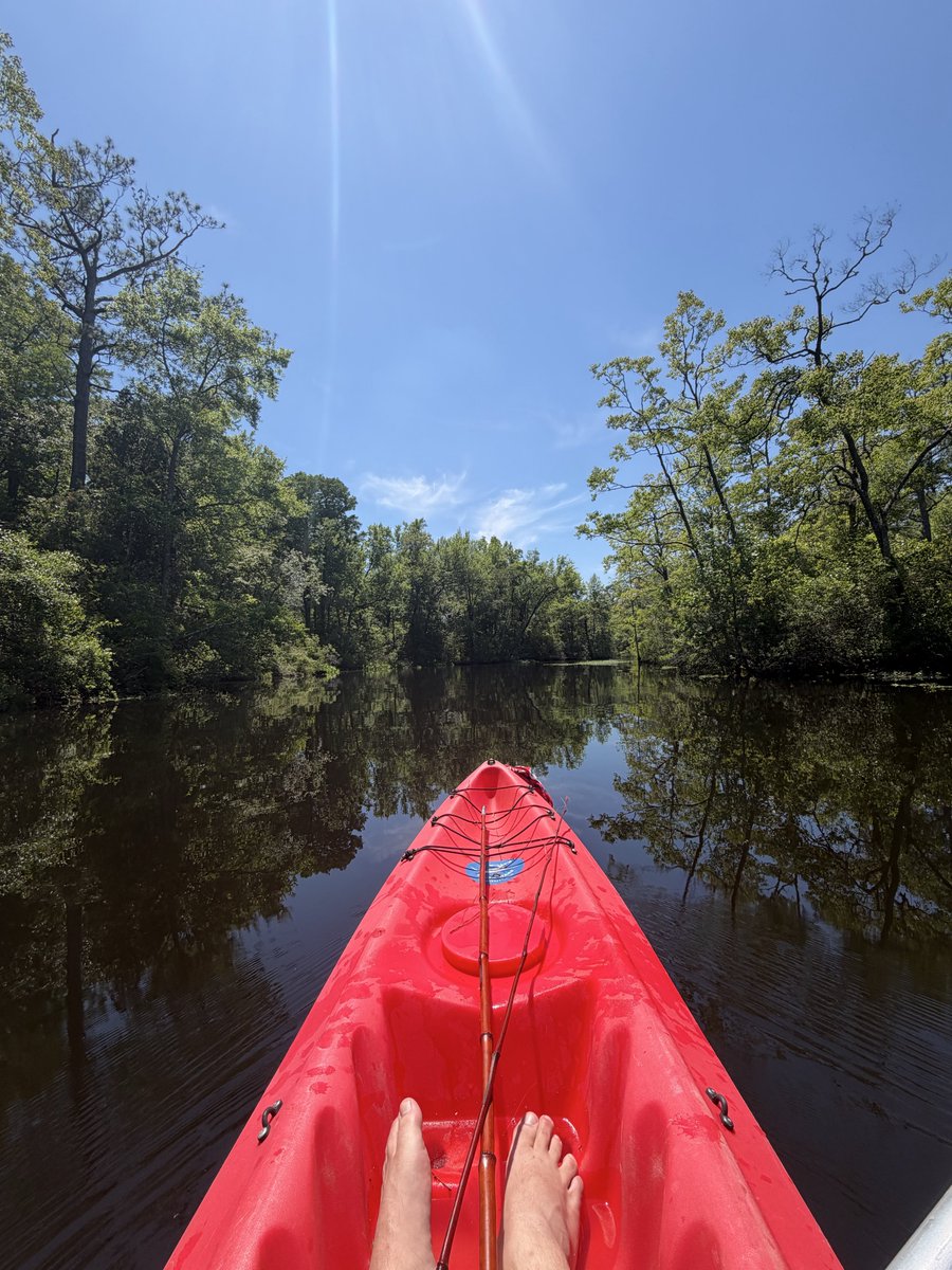 rollcallsec's tweet photo. Told my boss I was kayaking on a creek instead of going to work today ๐ #fuckajob #motion https://t.co/fcL4N9xfmo