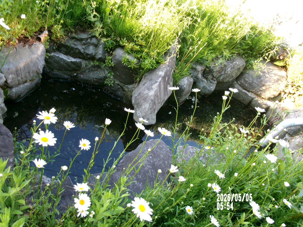 んで、ここでちょっと～🌤️➰🧐🎵。