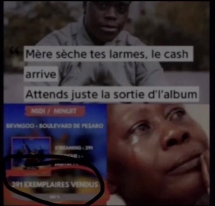 scipio algerianus ⵣ tweet media