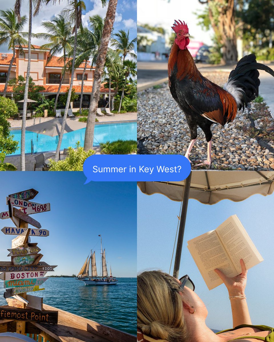 CourtyardKeyW's tweet image. The secret to the perfect #summer? Planning it in the #spring. 🗓️ 

#KeyWest is calling, and the crowds haven’t arrived yet. Now is the time to snag your favorite room at the Courtyard Key West Waterfront! Don't let your dream #vacation be "sold out."
 bit.ly/3t7YovD