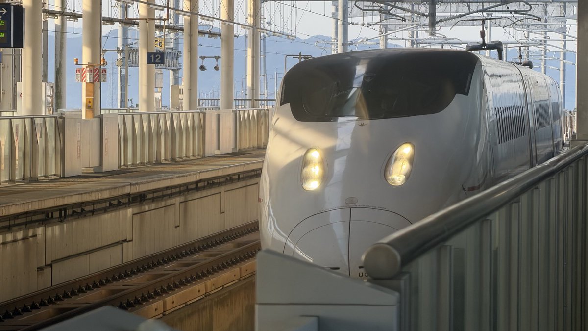 肥前國住ガラクタ猫侍のあきくん®︎(レフティ) tweet media