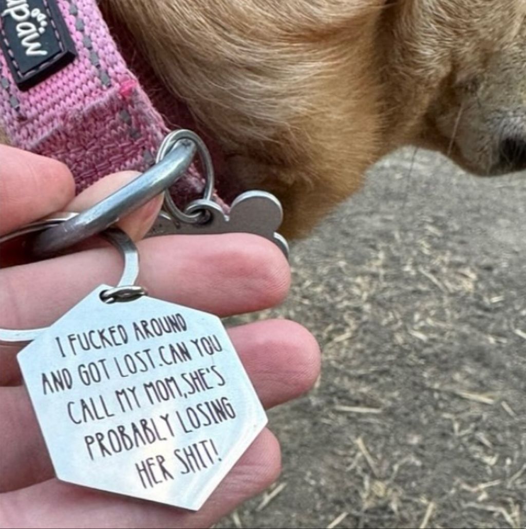 An honest collar tag