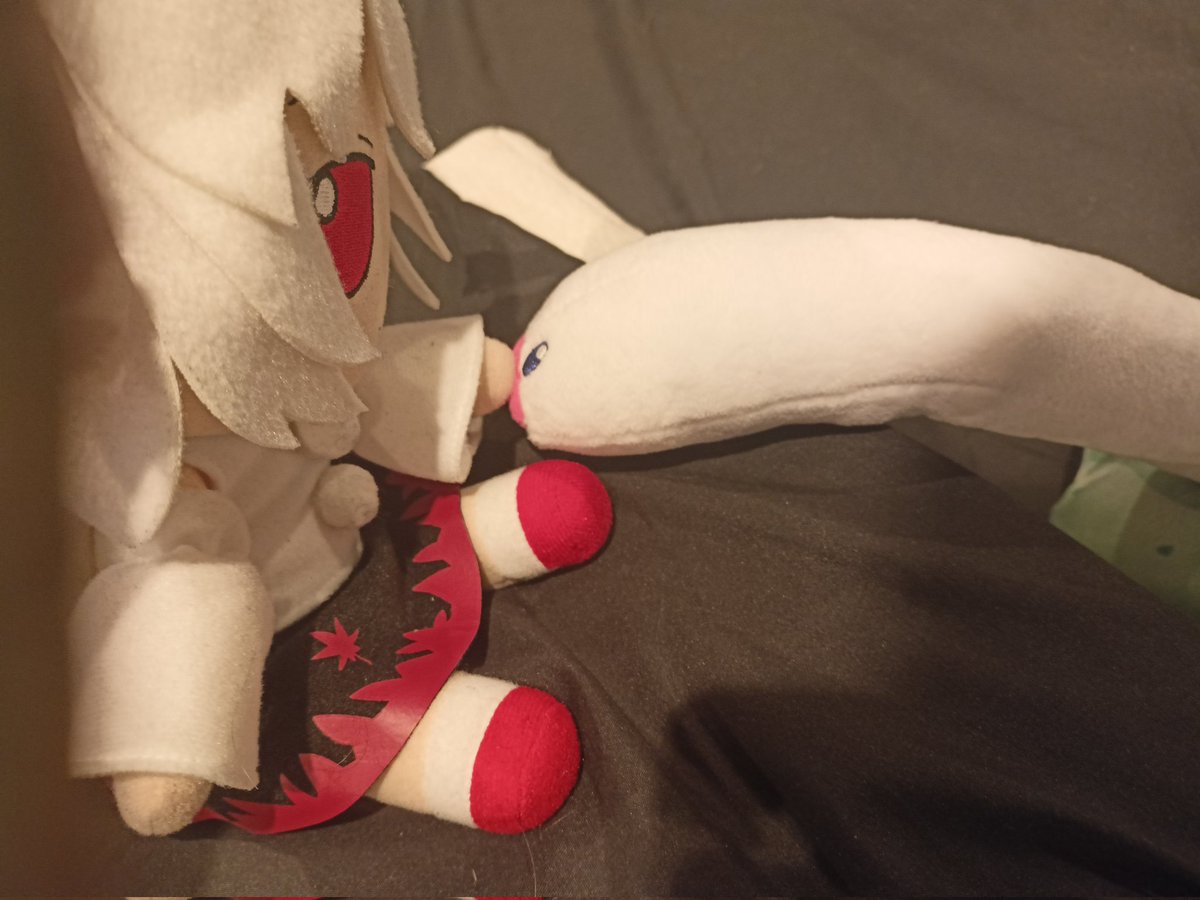 DanSkibs's tweet photo. Momiji word of the day: Boop https://t.co/EJxlaNZXqB