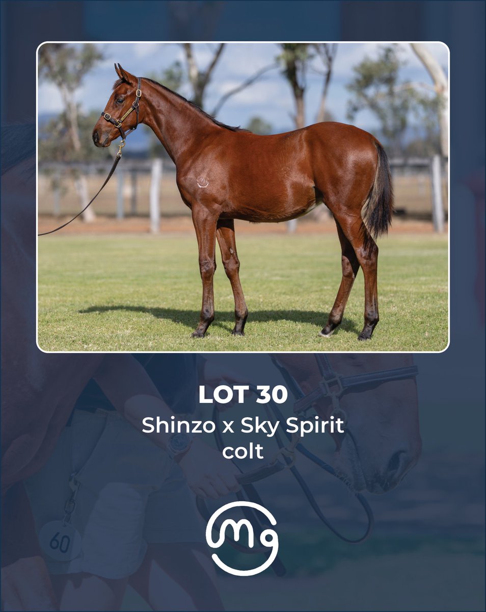Mullaglass Stud tweet media