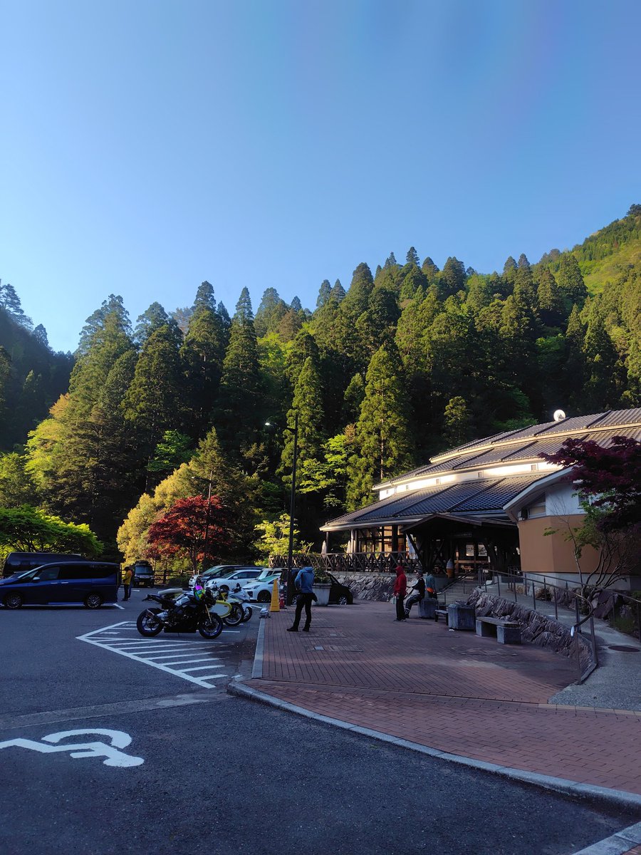 タヌキング(晴遊雨眠) tweet media