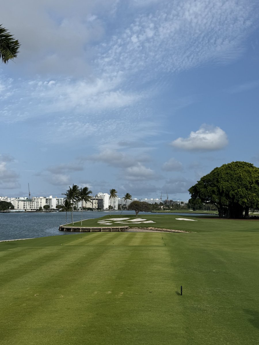 Tony “Back Nine” Bozzi tweet media
