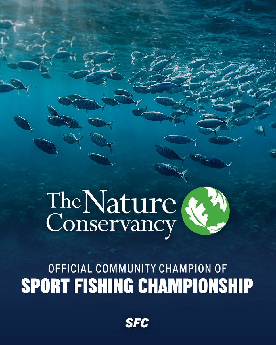 Sport Fishing Championship (SFC) tweet media