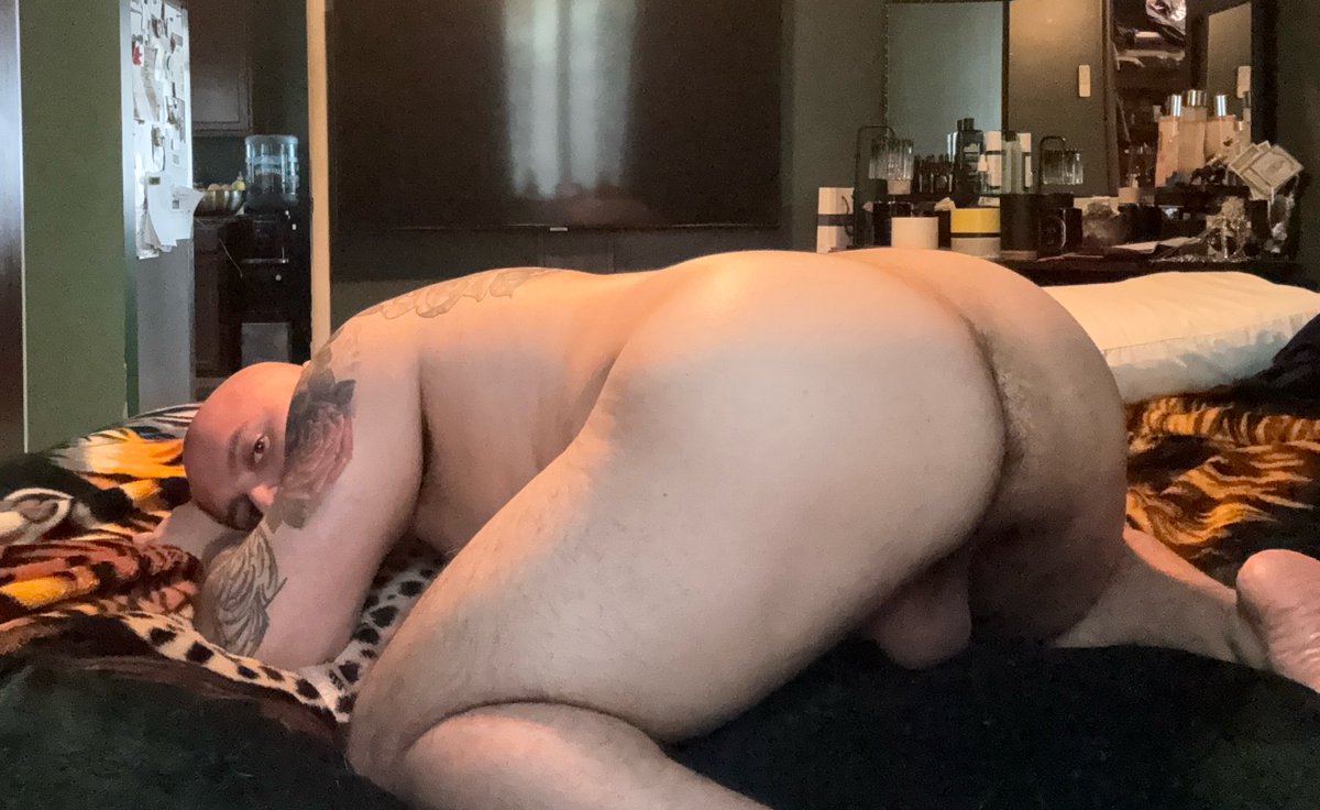 Fearless Romeo 🌶️🐻🇬🇹 tweet media
