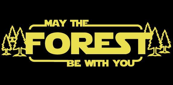 DogwoodAlliance's tweet image. You don't have to go to a galaxy far, far away to find adventure! There's so much to discover by exploring your local #forest or national park. Spend time in #nature today and #MaytheForestBeWithYou!
