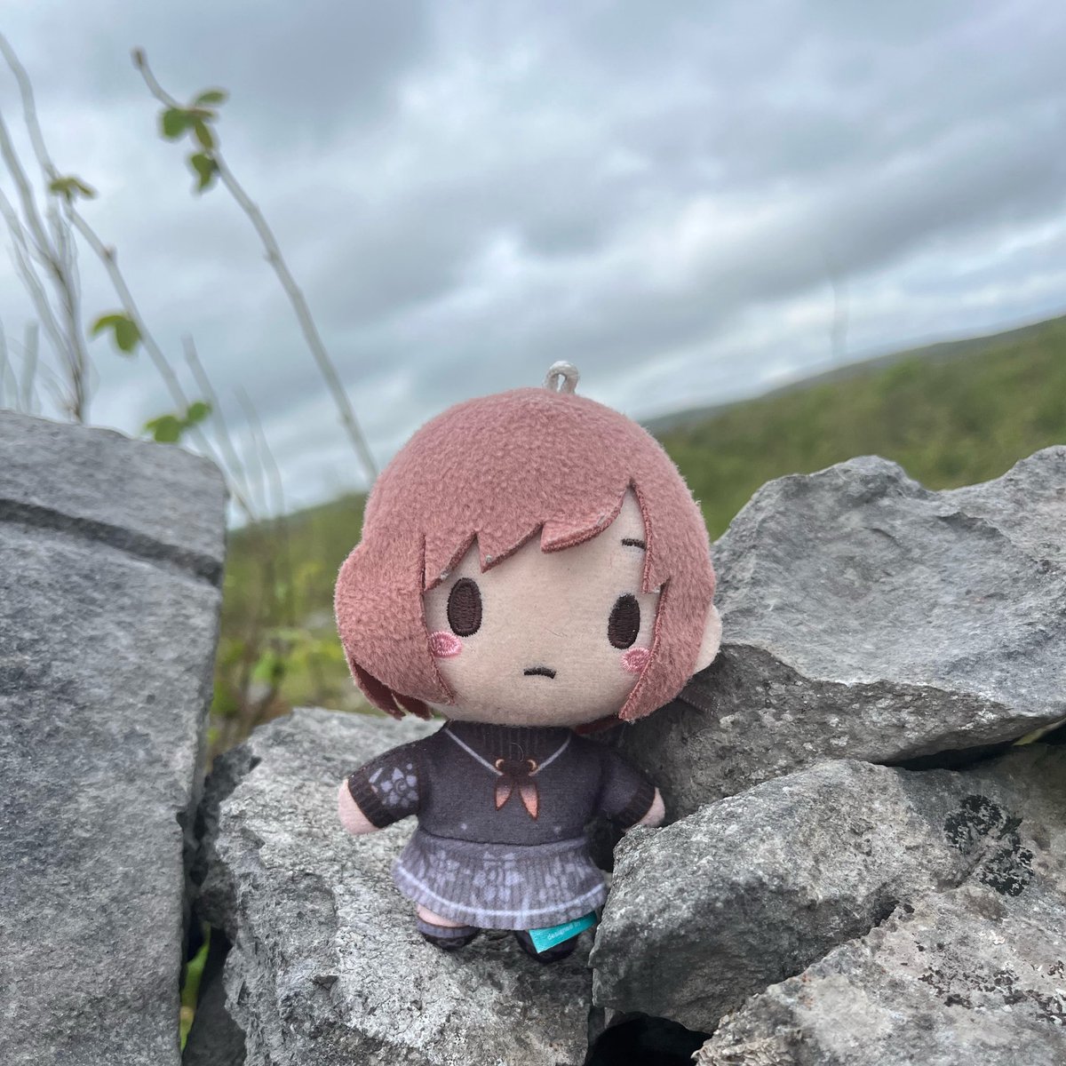 kellie 🇮🇪🎀 oc-pilled tweet media