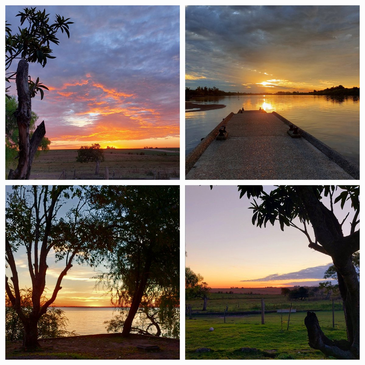 Popurrí de atardeceres.🌄

04/05/26