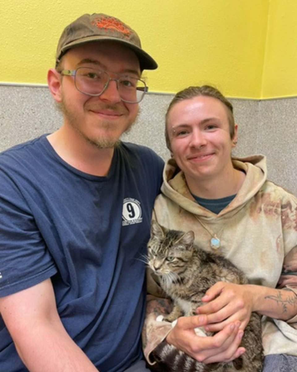 Greenhill Humane tweet media