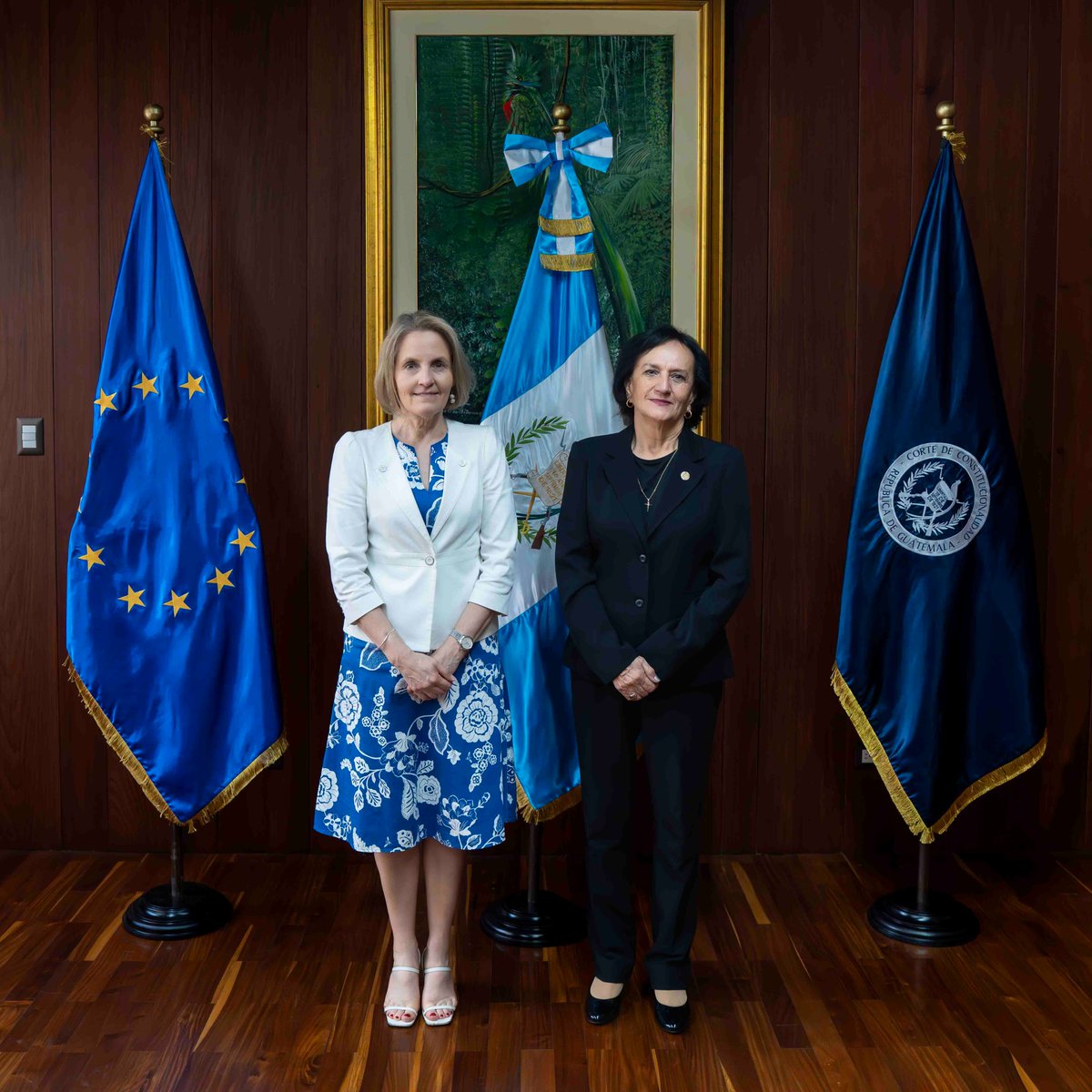 Esta tarde la Magistrada Presidente de la Corte de Constitucionalidad, Gladys Annabella Morfin Mansilla sostuvo una reunión de cortesía con la Excelentísima Embajadora de la Delegación en Guatemala de la Unión Europea, Johanna Karanko.
Durante audiencia la Magistrada Presidente