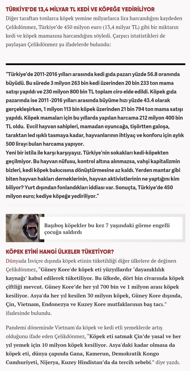 Pendik'te Başıboş Köpek Sorunu tweet media