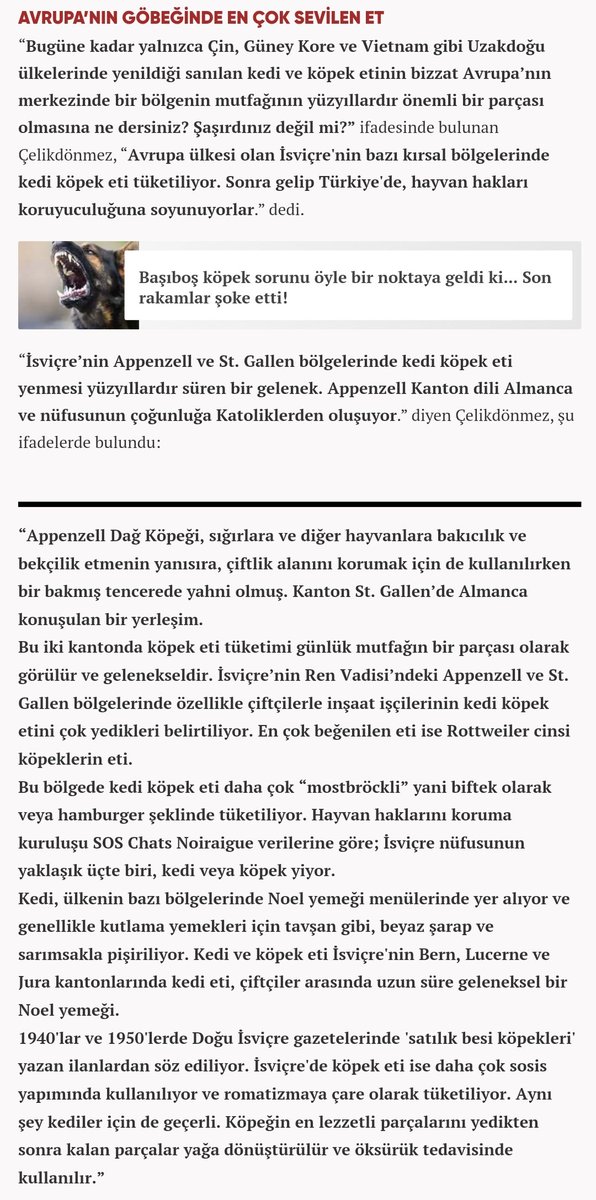 Pendik'te Başıboş Köpek Sorunu tweet media