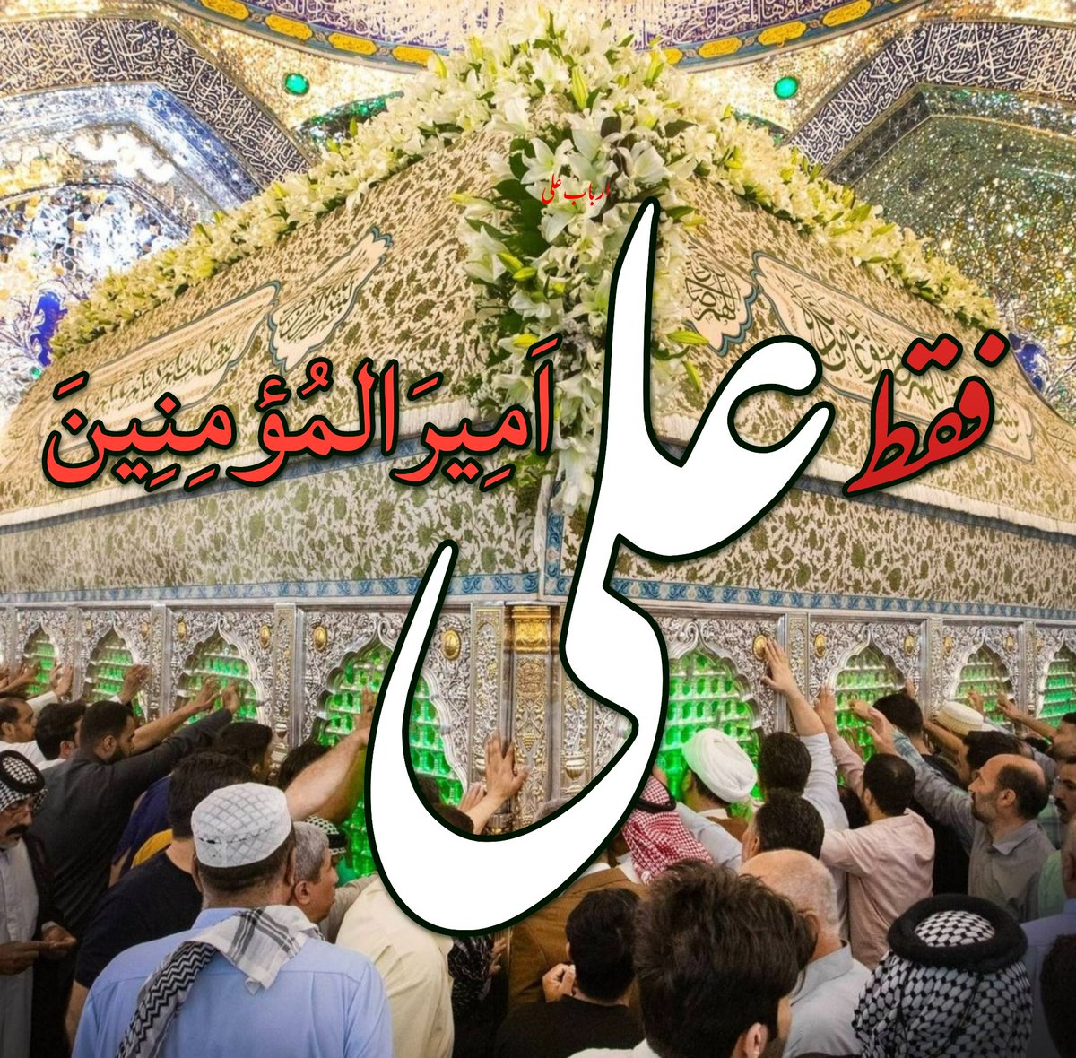 فقط مولا علی علیہ السلام امیر المومنین ہیں.