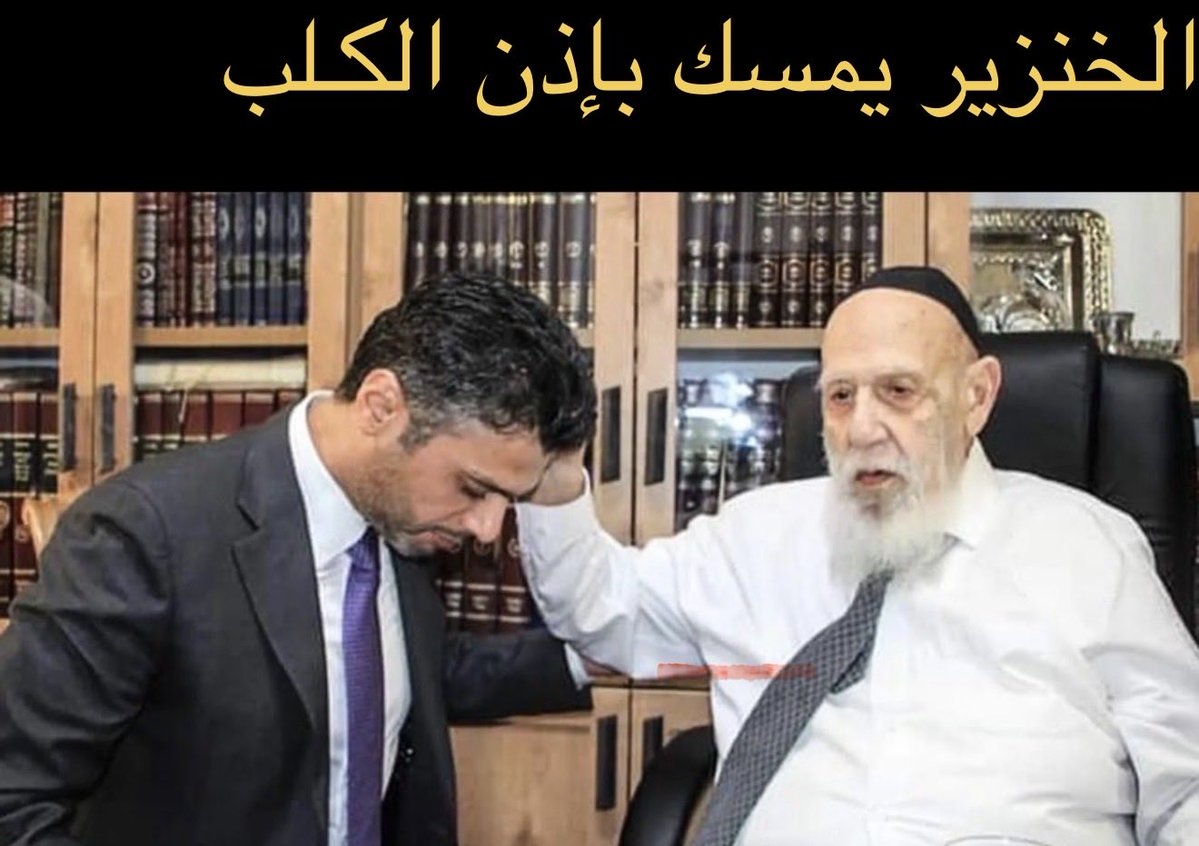 بودالهلالي 🦈BOD🦈 tweet media