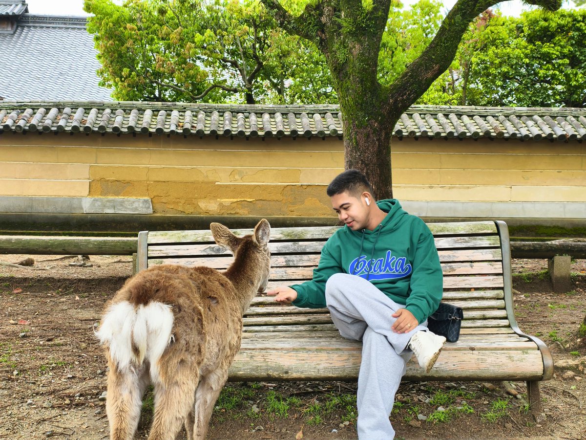 babykosiky's tweet image. new friends 🦌🇯🇵
#nara #deer #Japan