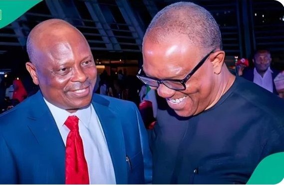 Peter Obi Grassroots Mobilization. tweet media