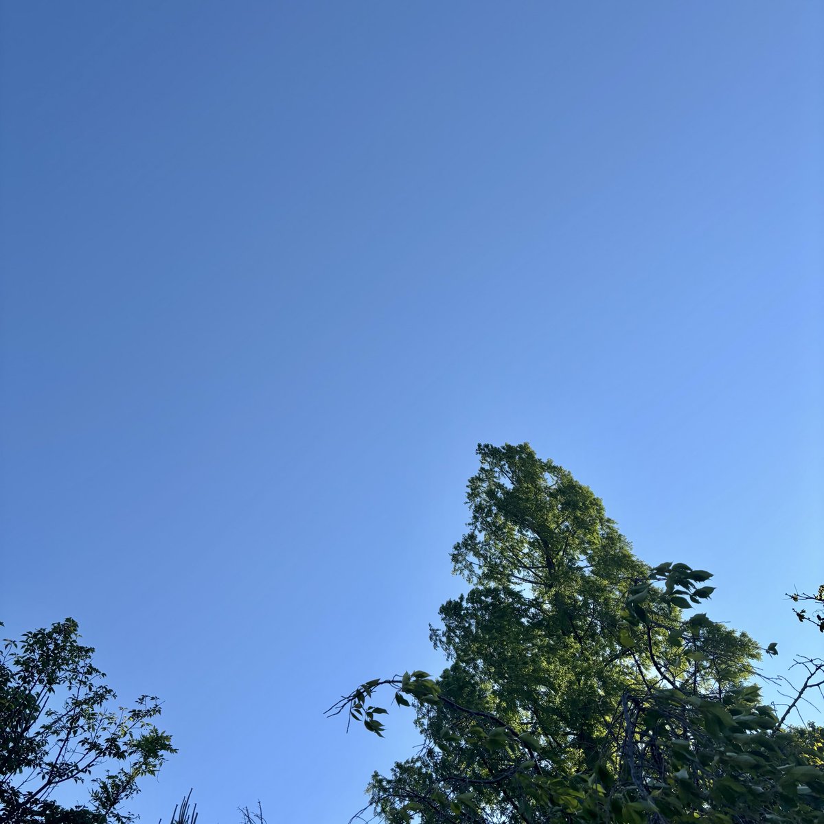 浜崎快声 tweet media