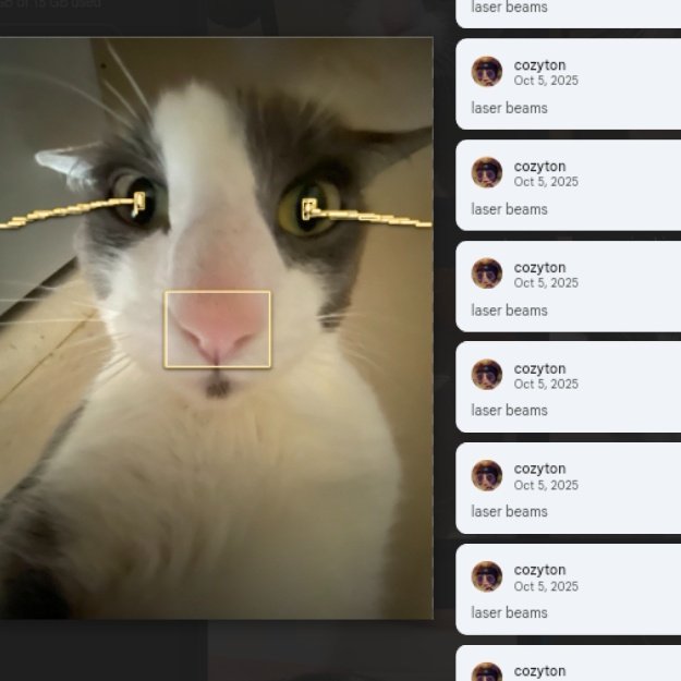 soggy cat tweet media