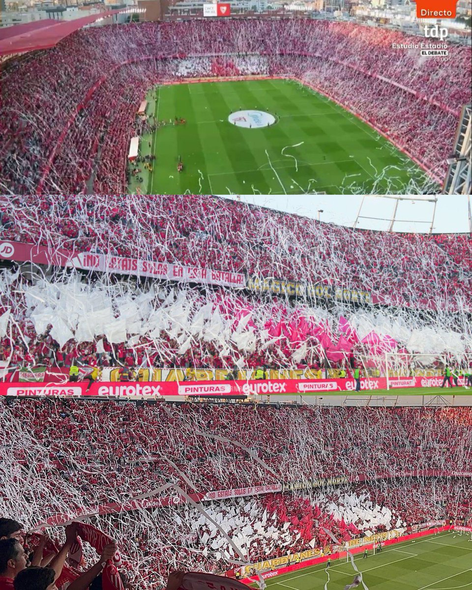 Barra Brava tweet media