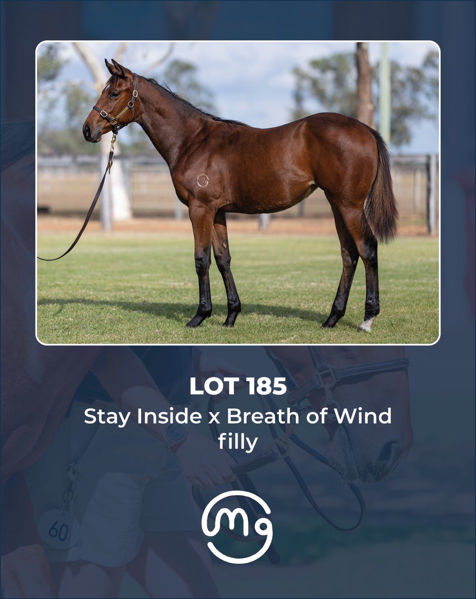 Mullaglass Stud tweet media