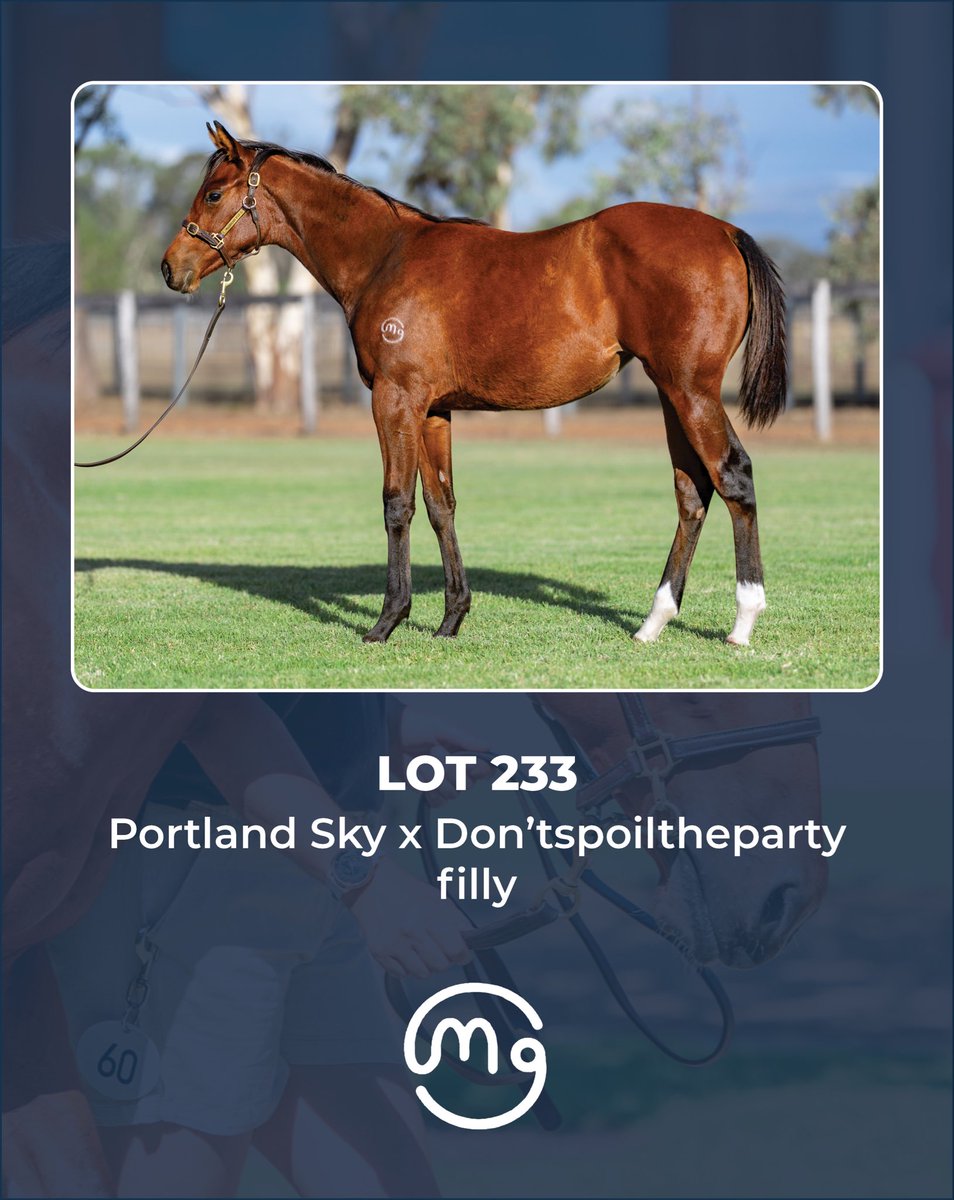 Mullaglass Stud tweet media