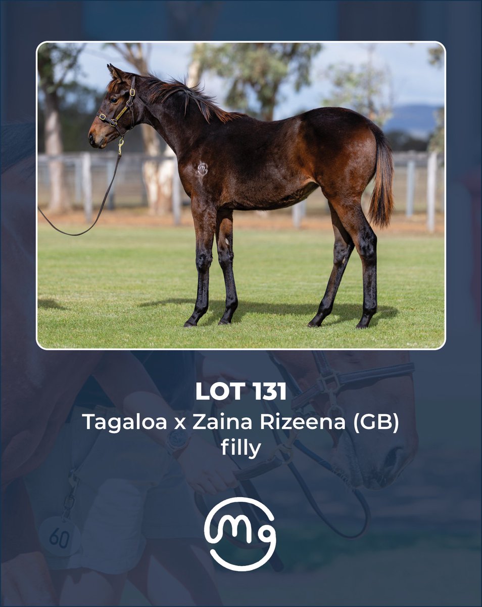 Mullaglass Stud tweet media