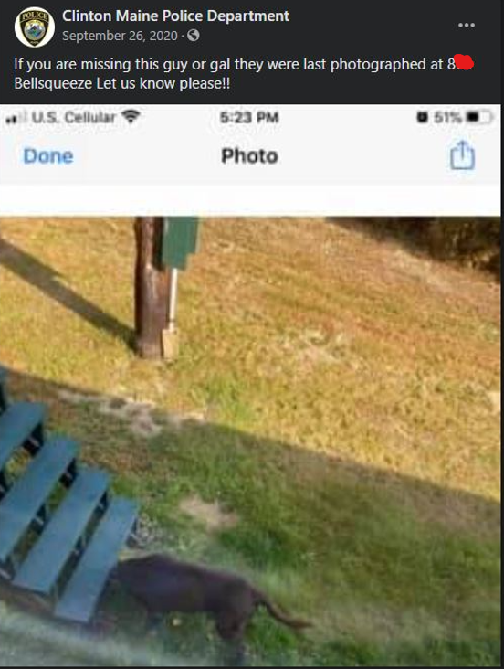CervaJehanne's tweet photo. Even the dogs know. Multiple dogs that I know of taken off found at his property. (Under the steps). The Clinton PD posted this for him (publicly). He was threatening to kill the cats in the area because they were digging up his property. Many cats went missing. https://t.co/Fd49lx6Rbi