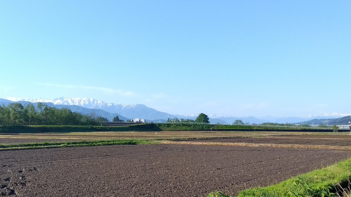 こむすびコロリン🌞 tweet media