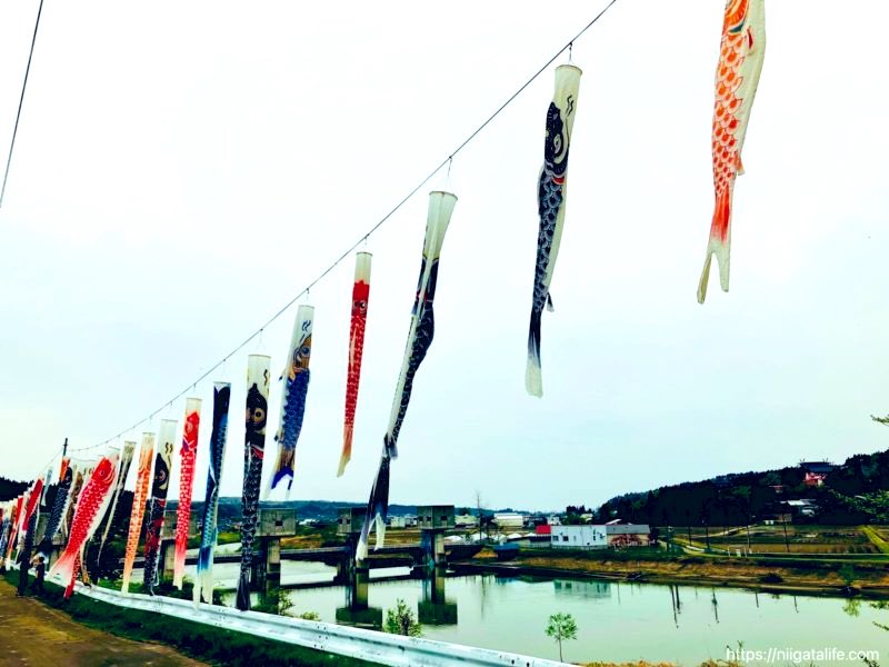 ikumeetsbeer's tweet photo. のんびりと眺めるなら長岡市越路・岩田鯉のぼり🎏

https://t.co/6vN27HihUS https://t.co/zyC7z4uO0a