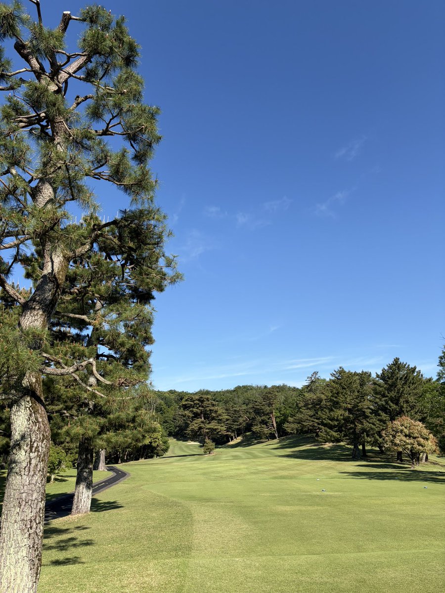 タケ小山（小山武明） tweet media