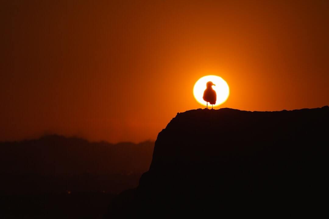 DougHallMedia's tweet photo. Are you playing to an imaginary crowd or a false narrative that says busyness is a requirement for validation? Or like Mary are you learning how to seek Jesus above all else? When you do, everything else falls into place as your soul finds the contentment it’s searching for. https://t.co/6T6sI4TUDl