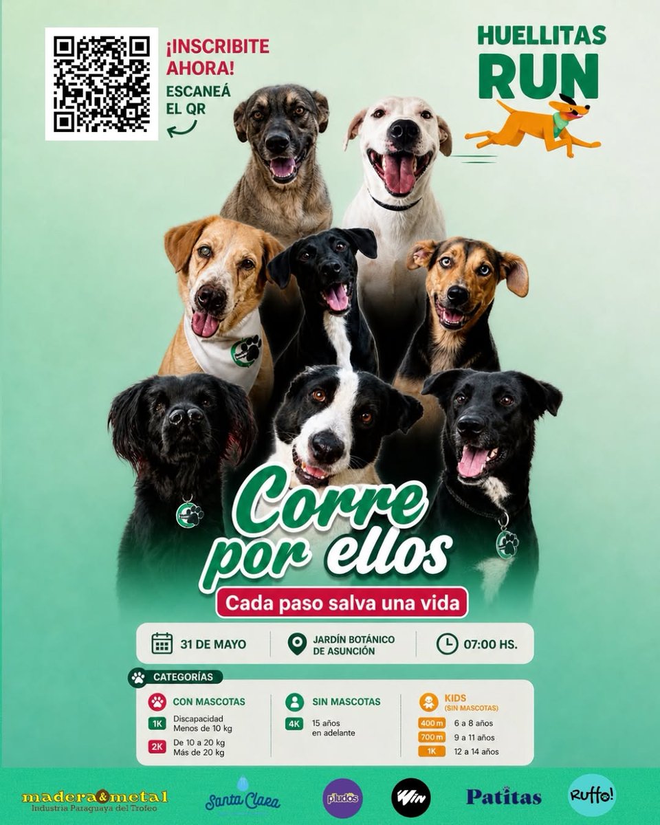 ▶️ CORRERÁN POR UN NUEVO HOGAR PARA ANIMALES RESCATADOS | 🐶🏃‍♀️

Nadia Vargas, de Huellitas Paraguay, invita a sumarse a Huellitas Run, una corrida solidaria con perros y humanos que se realizará el 31 de mayo en el Jardín Botánico de Asunción. 

🐾 El objetivo es recaudar fondos