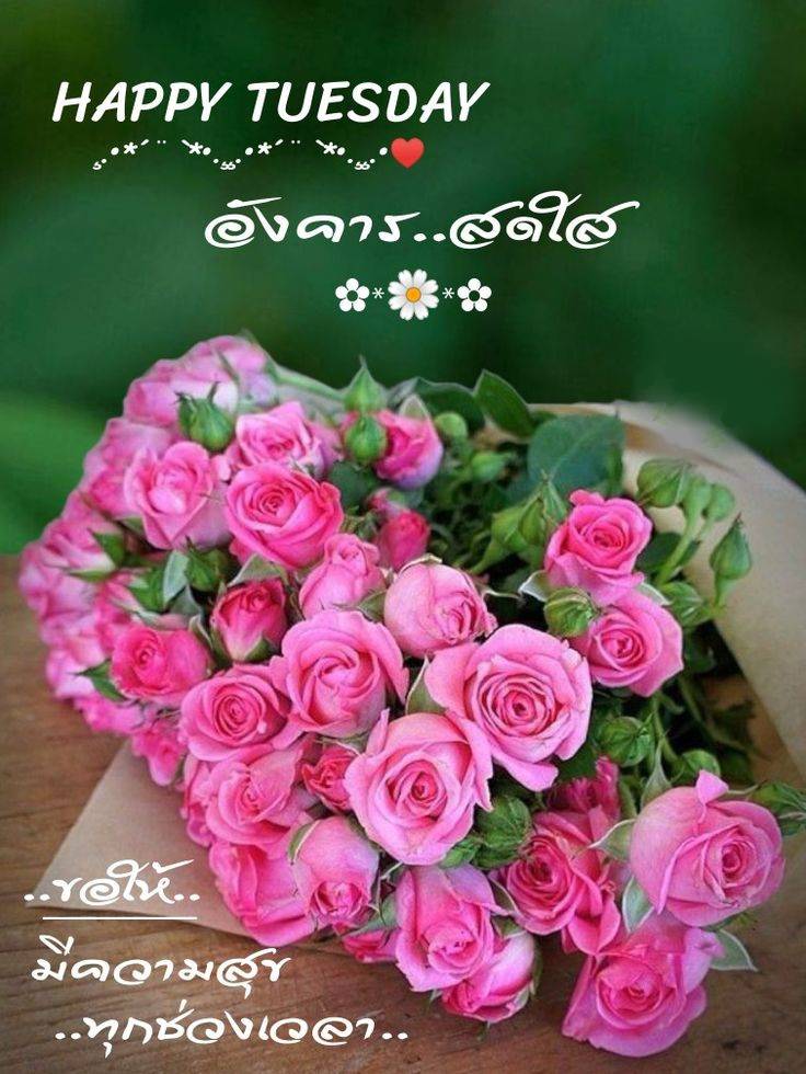 คุณ วันชัย เอกวงค์ tweet media