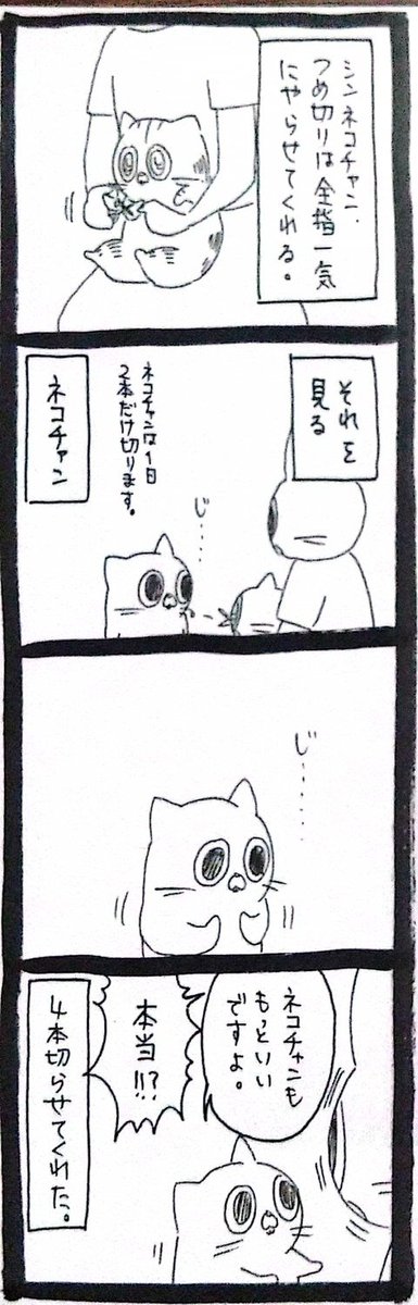 うさぎのみみちゃん😇デザフェス両日西1階B-10 tweet media