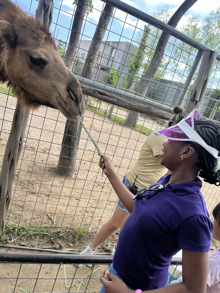 mscarissaspeaks's tweet photo. What a FIN-tastic day at the 🐠✨ Houston Interactive Aquarium!
Our @OutleyE 3rd Grade Eagles had a blast exploring, touching sea creatures, and learning hands-on science! 🦈🖐️🧠 https://t.co/IHoNqnsfwi