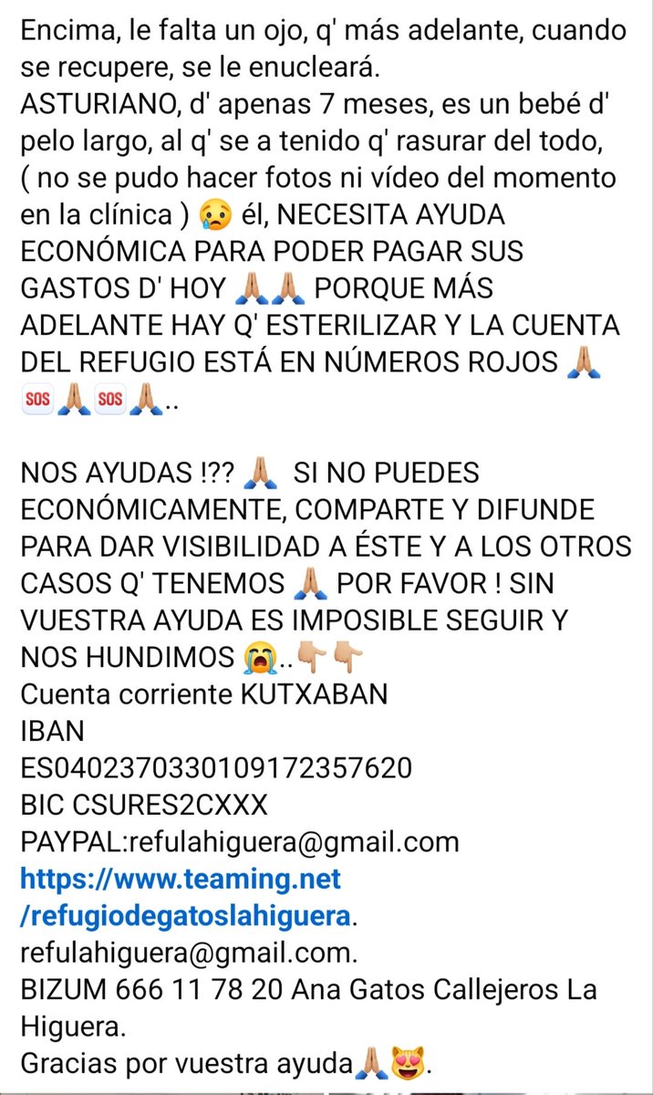María Viñuela del Jeso tweet media