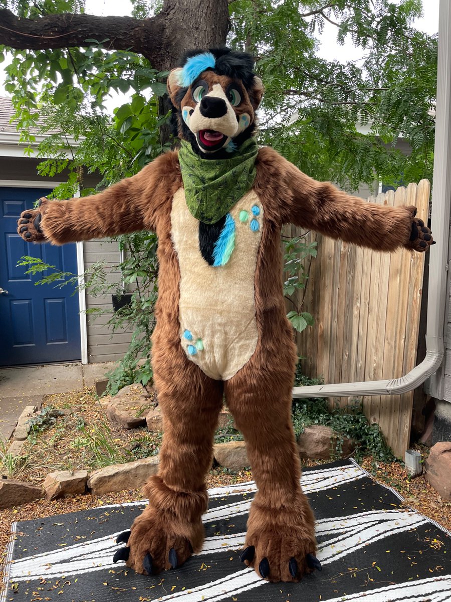Orion the Bear tweet media