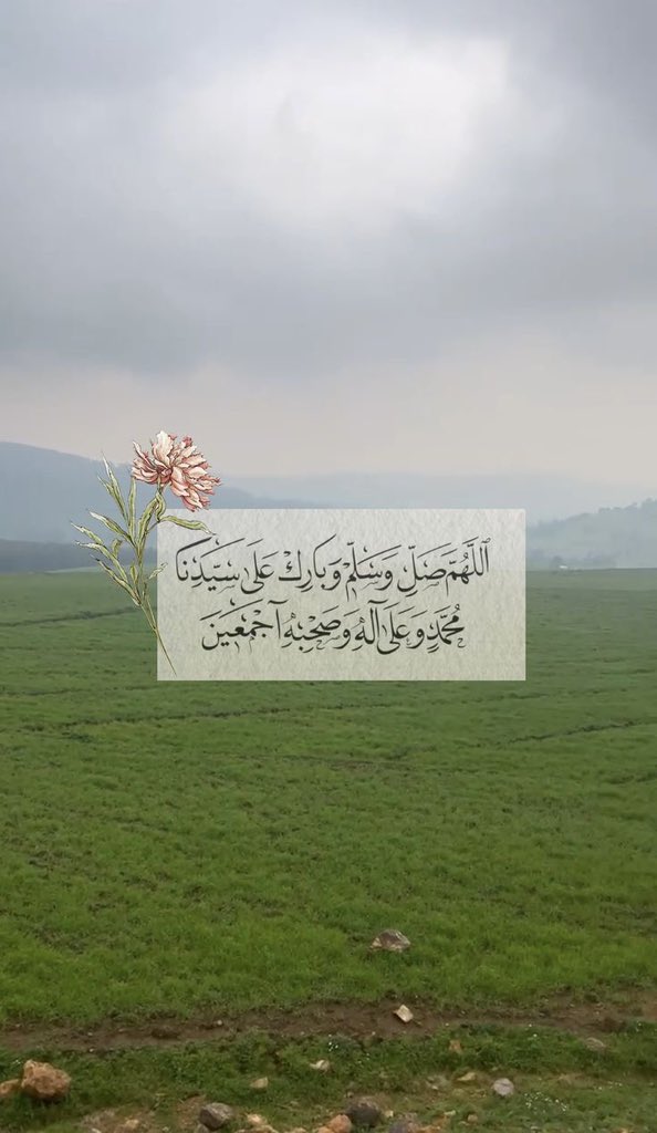 طبيب القلوب tweet media