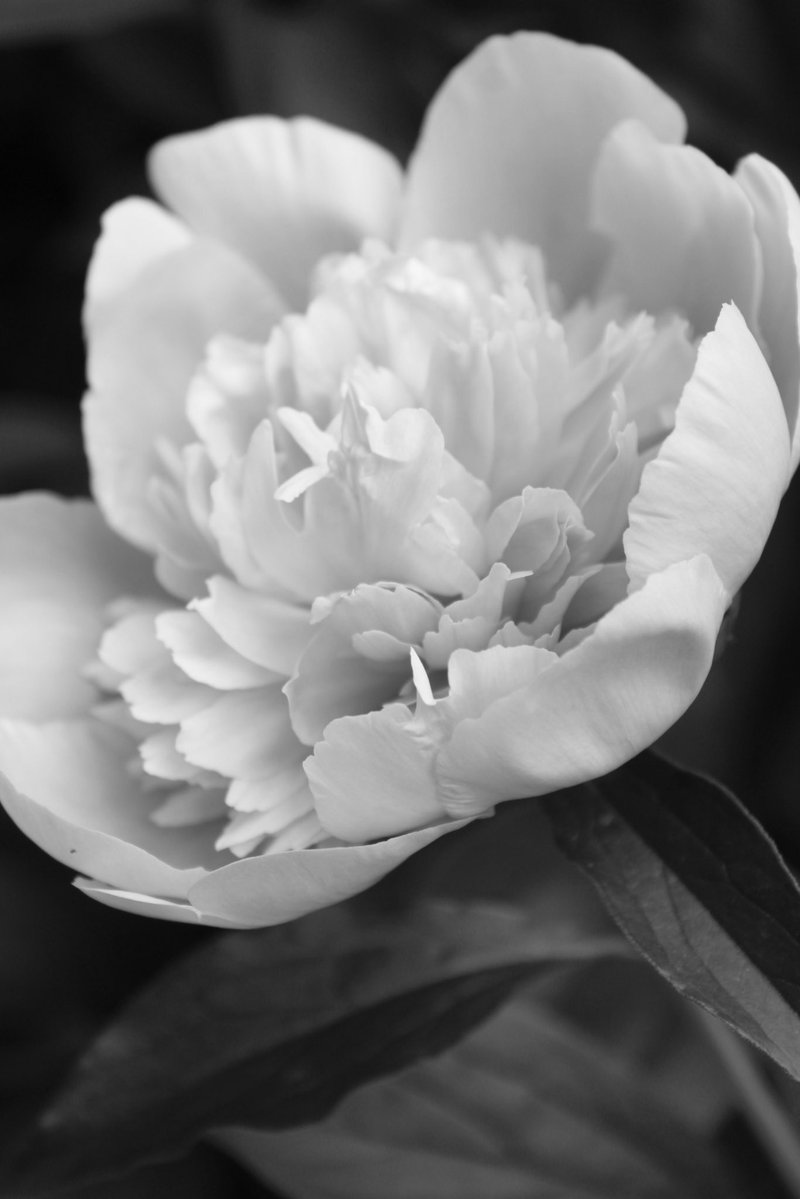 BNDesigns&Photography tweet media