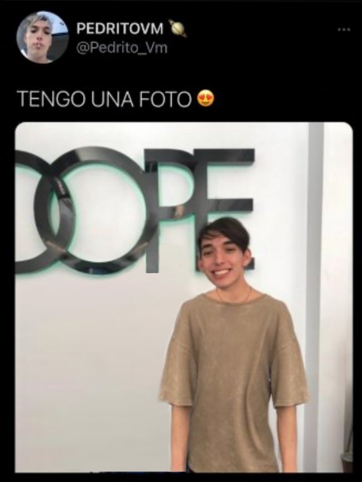 mirko tweet media
